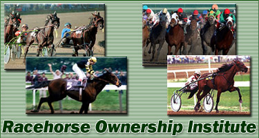 Racehorse Ownership Institute