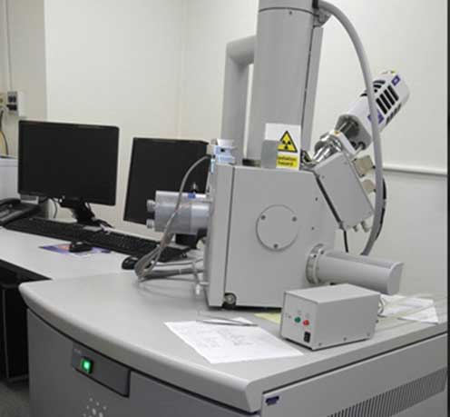 Quanta Scanning/Transmission Electron microscope with elemental analyzer