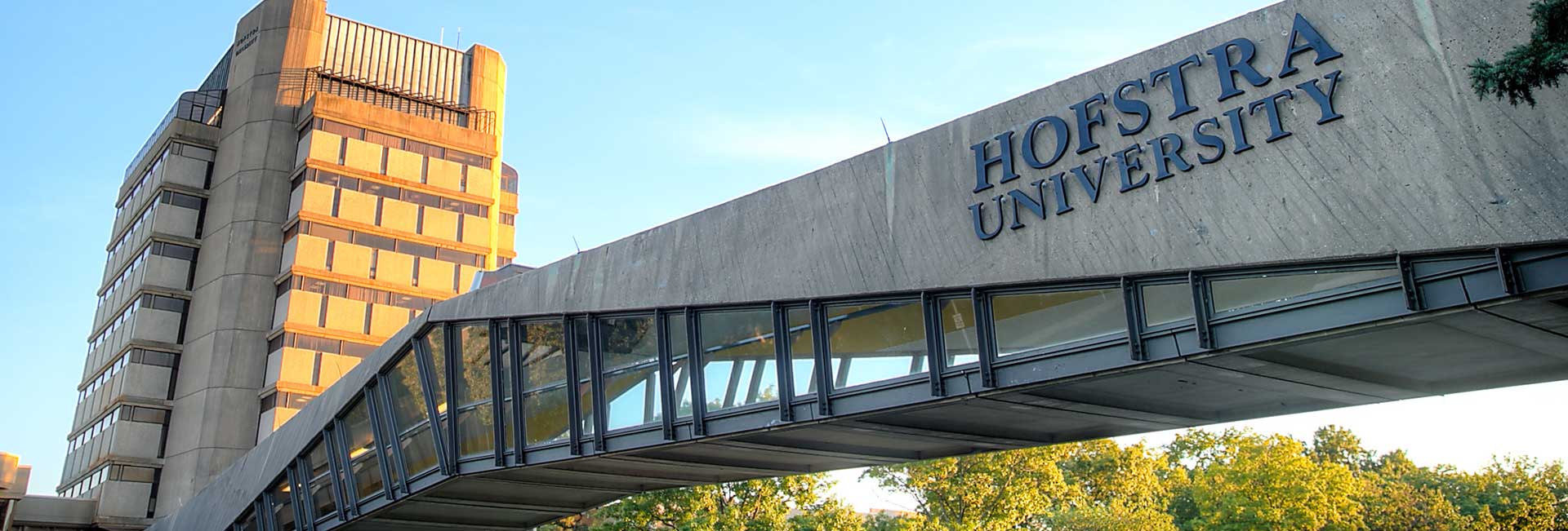 New Graduate Students Get Started Here | Hofstra University