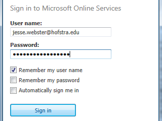 Microsoft Online Services sign-in screen