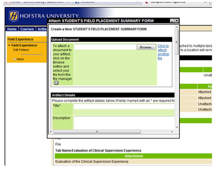 Completing the Field Placement Summary Form and the Evaluation of Clinical Supervision Experience