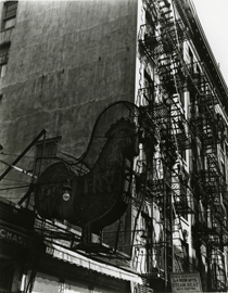 Berenice Abbott, Poultry Shop East 7th Street