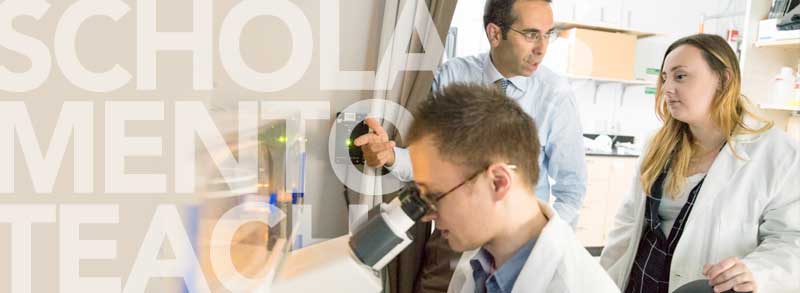 Scholars Mentors Teachers