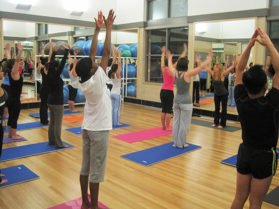 Fitness Center Daily Activities Hofstra New York