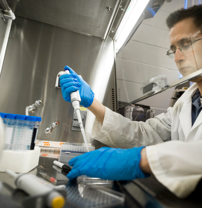 Bioengineering - Undergraduate Programs | Hofstra University