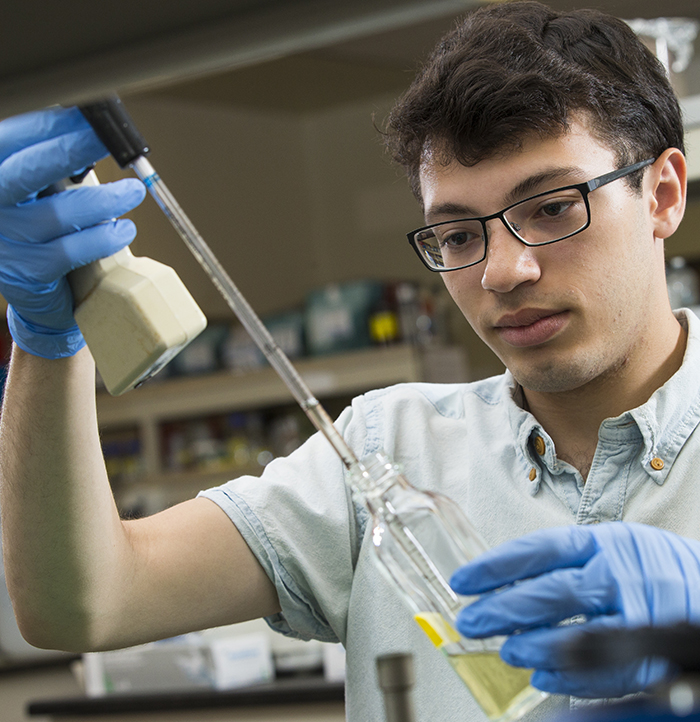 NSF Research Fellow