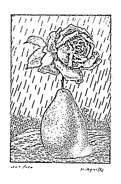 Magritte Rose