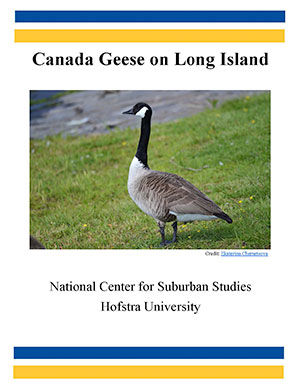 Canada Geese on Long Island Cover