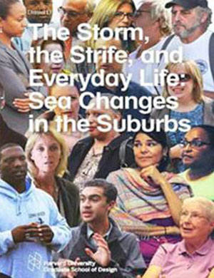 The Storm, the Strife, and Everyday Life: Sea Changes in the Suburbs bookcover