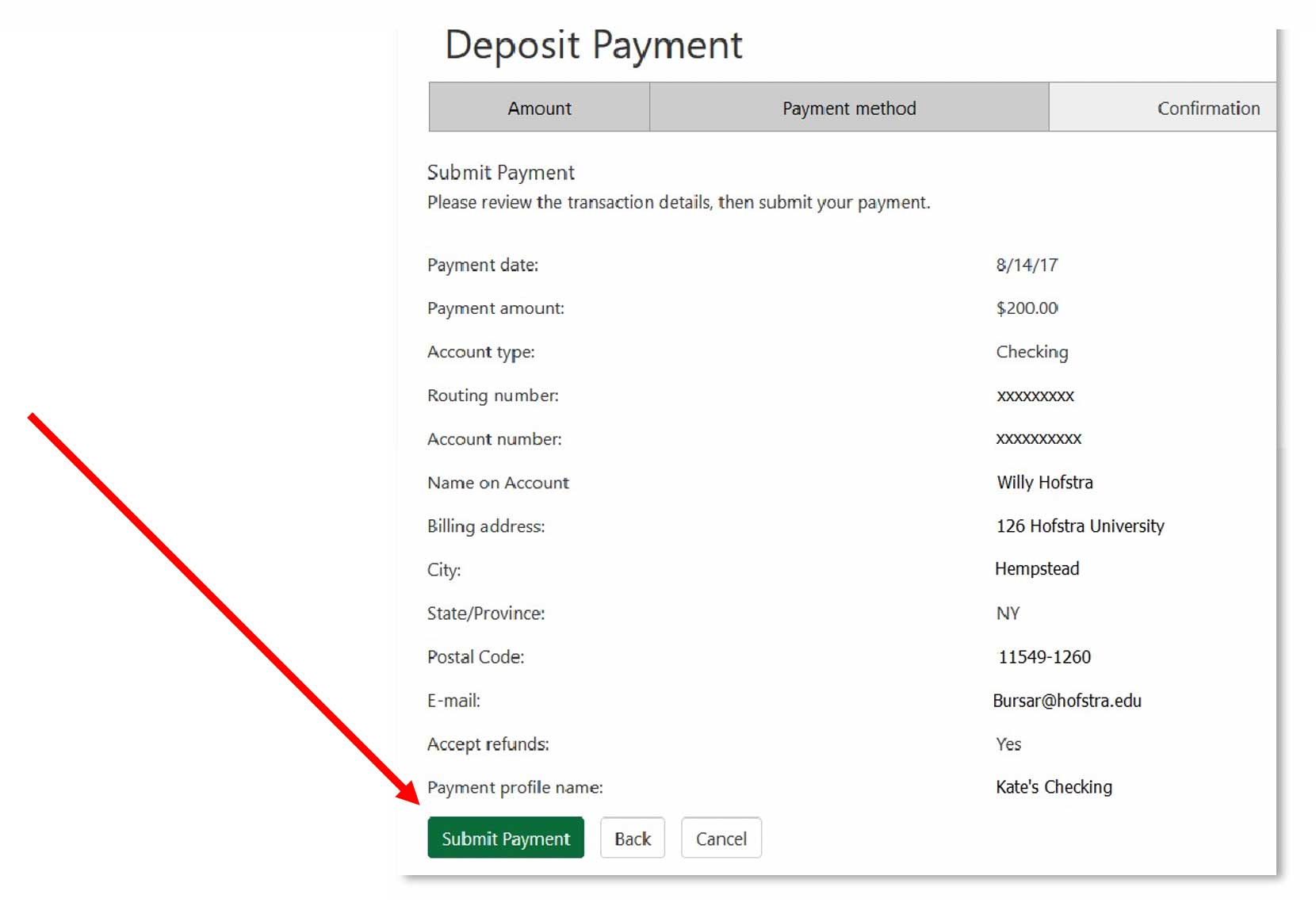 Review payment details, check the box to Agree and click Submit Payment to continue
