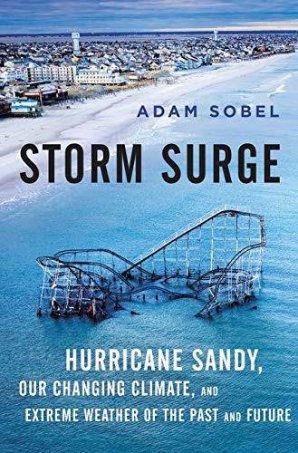 Storm Surge book cover by Adam Sobel