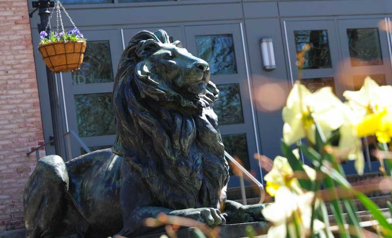 Campus statue of lion