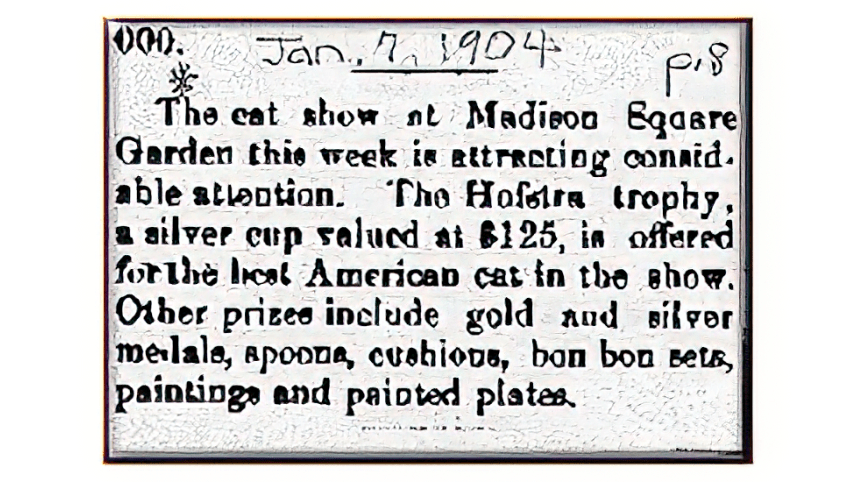 Hofstra HIstory: Mrs. Hofstra's Cats