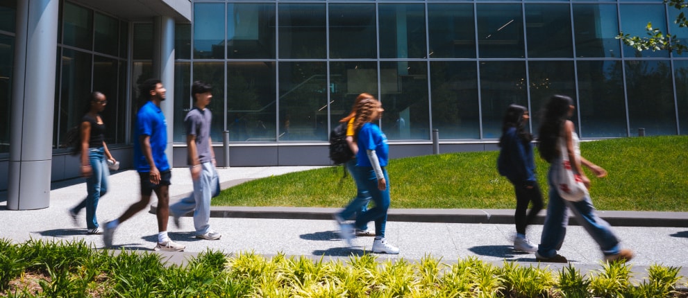A group of students walks along a pathway outside a modern glass building, with green grass and plants bordering the walkway on a sunny day.