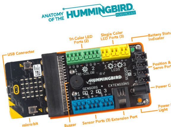 Hummingbird circuits