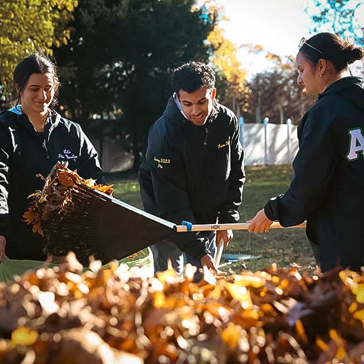 fraternity, sorority, shake-a-rake