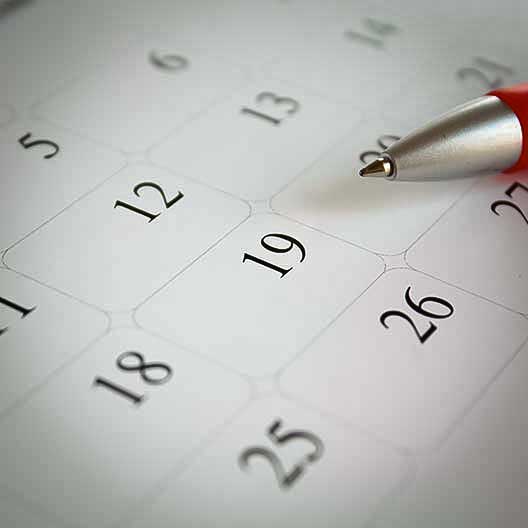 Spring Start-Up - Hofstra University