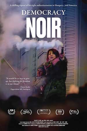 Democracy Noir movie poster