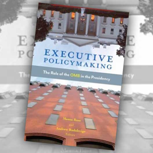 Executive Policymaking
