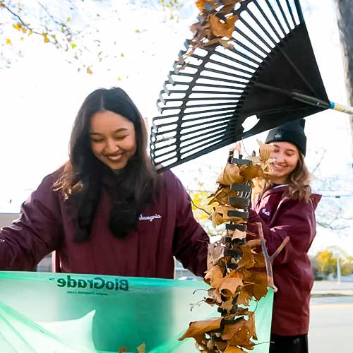 Hofstra Students Volunteer to Support Neighbors