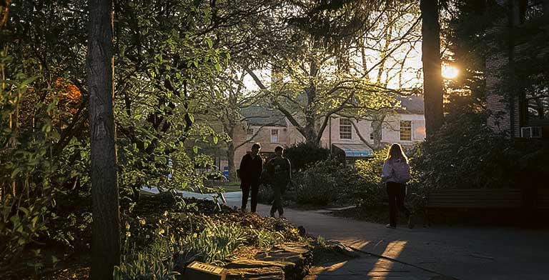 campus, students, walking