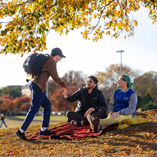 students, handshake, fall, campus