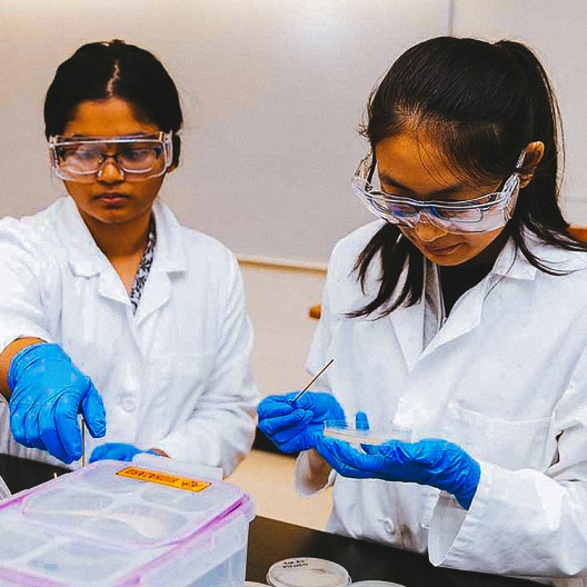 Two scientists wearing white lab coats, blue gloves, and safety goggles work together in a laboratory, handling tools and samples on a workstation with containers in the foreground.