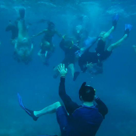 A group of people wearing snorkel gear and fins swim underwater in blue ocean water, with one person in the foreground facing the group.