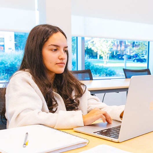 A young woman with long brown hair works on a laptop at a table, with a notebook and pencil nearby. Large windows behind her show a bright, outdoor scene with trees and parked cars.