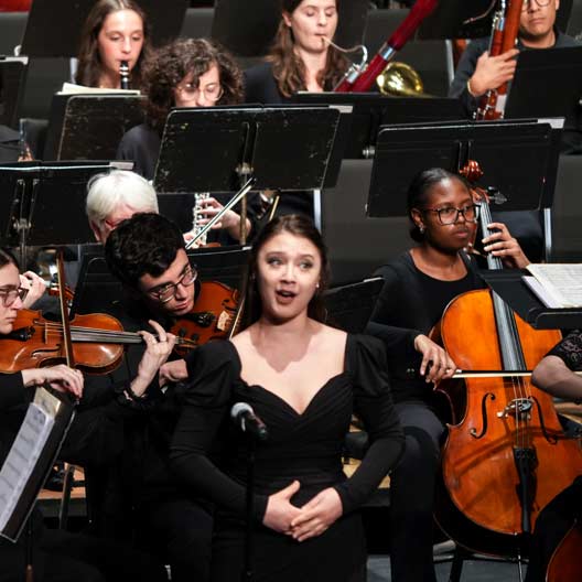 Symphony Orchestra