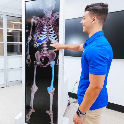 A man in a blue shirt smiles and touches a large vertical digital screen displaying a colorful human skeleton in a bright, modern room.