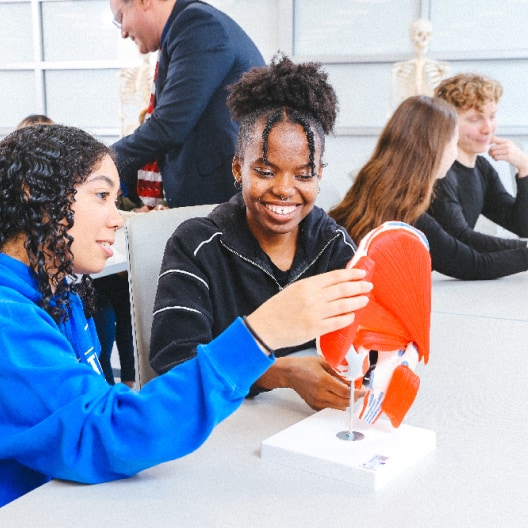 Two students smile while examining a red anatomical model of a muscle in a classroom. Other students and a teacher are visible in the background, with skeleton models on display.
