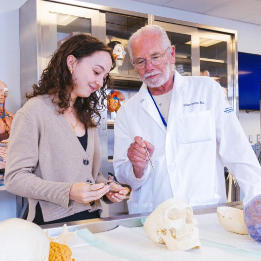 A young woman and an older man in a lab coat examine anatomical models, including a human skull, in a bright laboratory setting with medical displays in the background.
