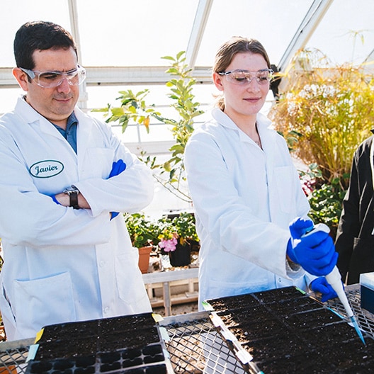 Two scientists in lab coats and safety goggles work with soil trays in a greenhouse. One person uses a pipette while the other observes, plants and sunlight visible in the background.