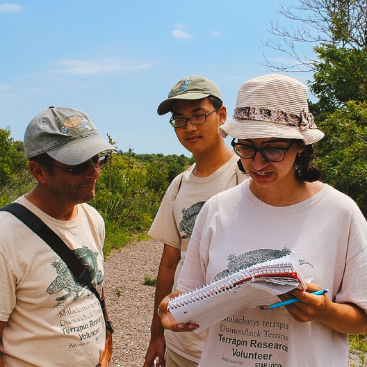 Three people outdoors in sunny weather, wearing hats and matching Terrapin Research Volunteer T-shirts. One person is holding a notebook and pen, appearing to take notes, while the others look on. Trees and sky are visible in the background.