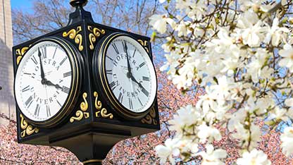 Hofstra Clock