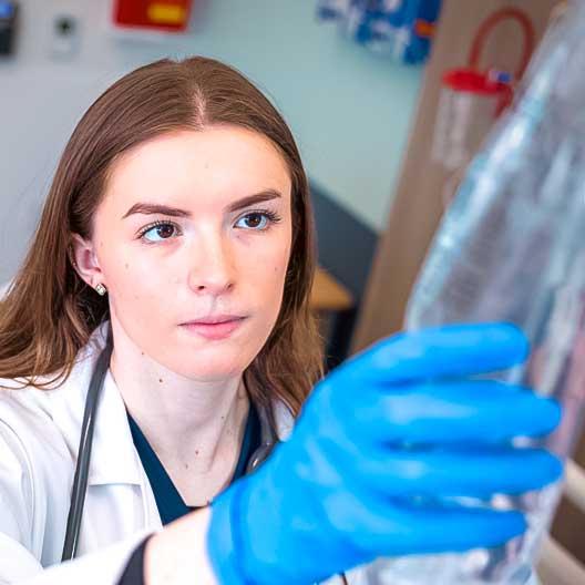 Successful Study Program Physician Assistant Studies - Hofstra University