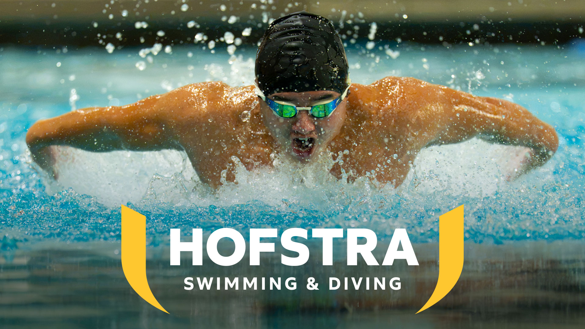 Hofstra Swimming and Diving