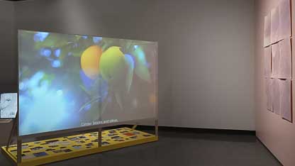 New Hofstra Art Exhibit Invites Viewers to Slow Down