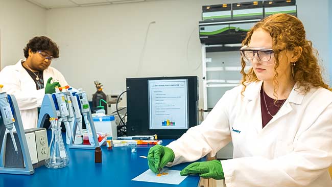 Summer Research Students